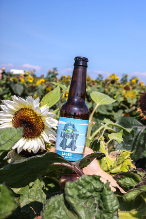 Gluten free and vegan beer lovers – we’ve got two new products for you!