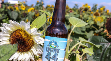 Gluten free and vegan beer lovers – we’ve got two new products for you!