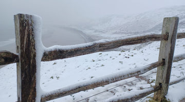 Our Magical Winter Wonderland