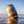 Load image into Gallery viewer, Gower Gold: Mini Keg