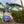 Load image into Gallery viewer, Langland Welsh Lager