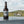 Load image into Gallery viewer, Shipwreck